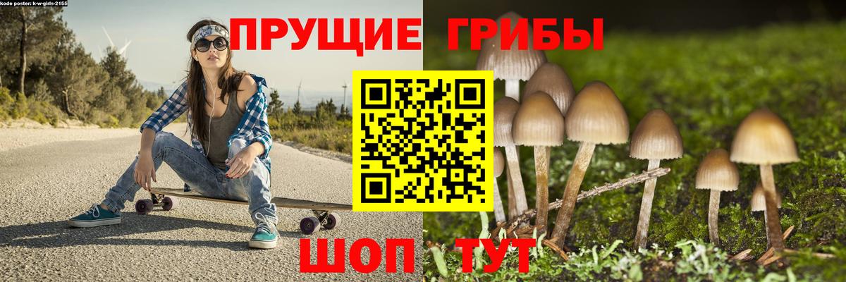 Галлюциногенные грибы Cubensis Курчалой