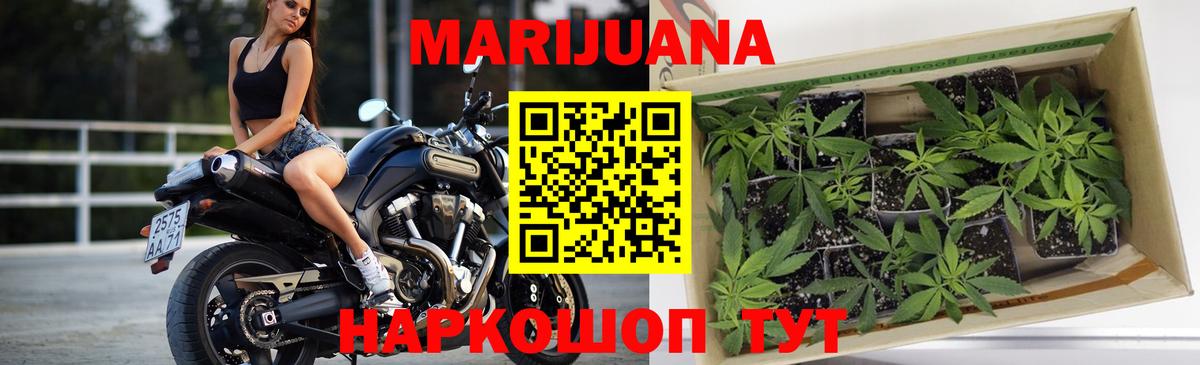 Шишки марихуана индика  Вход с VPN  Канабис ГИДРОПОН  Курчалой 